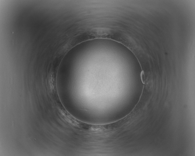 X0000083550866200702091056