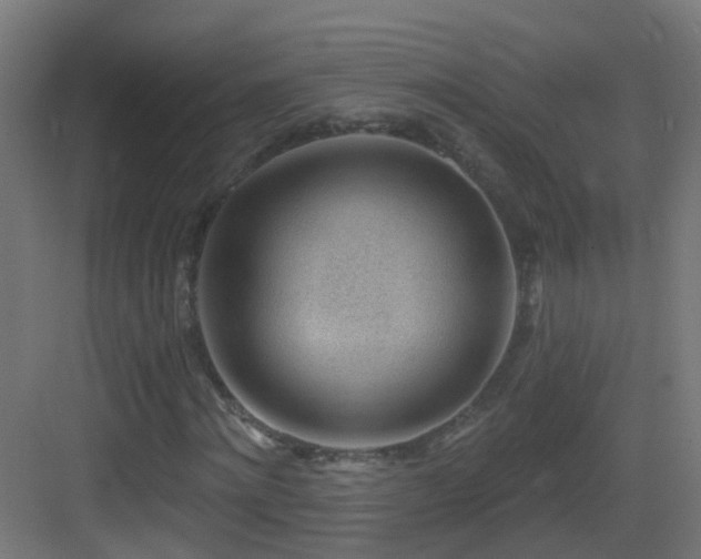 X0000083550868200702091056