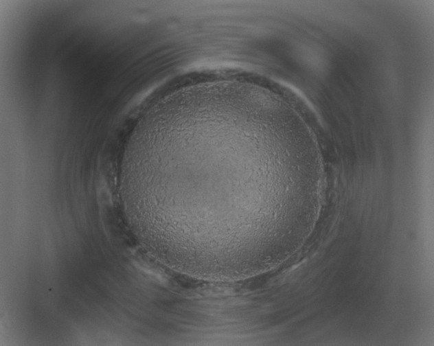X0000083550871200702091056