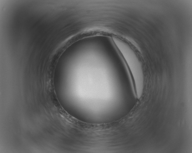 X0000083550872200702091056