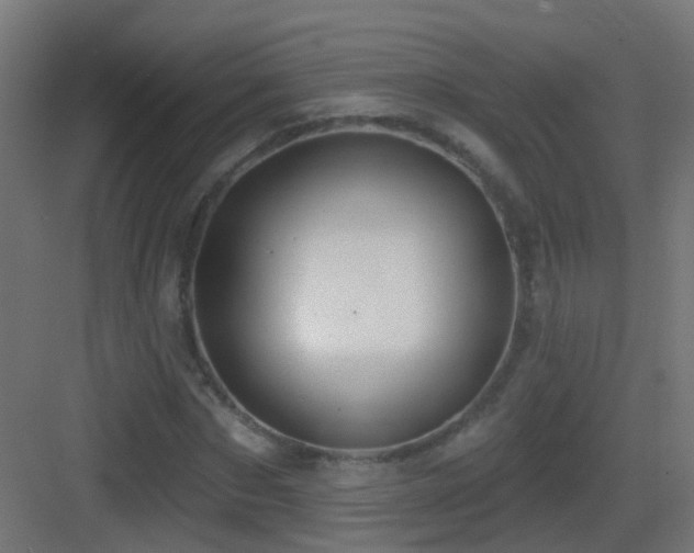 X0000083550873200702091056