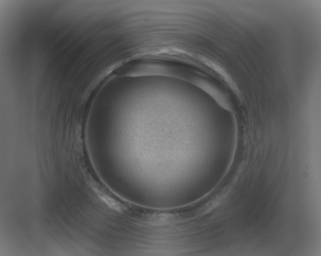X0000083550881200702091056