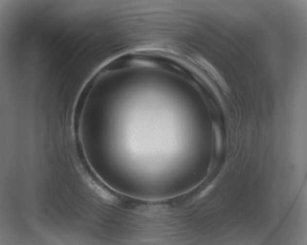 X0000083550884200702091055