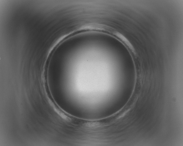 X0000083550893200702091055