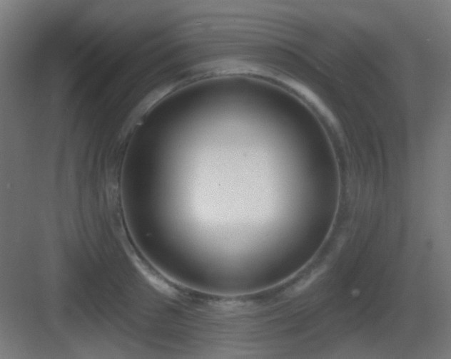 X0000083550897200702091055