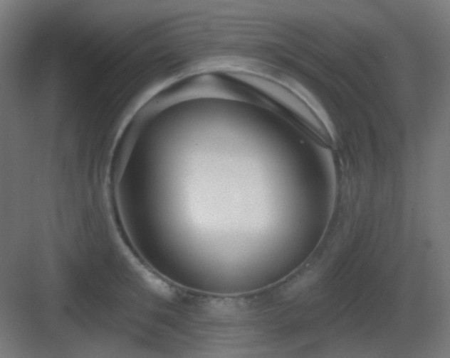 X0000083550901200702091055