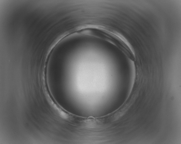 X0000083550906200702091055