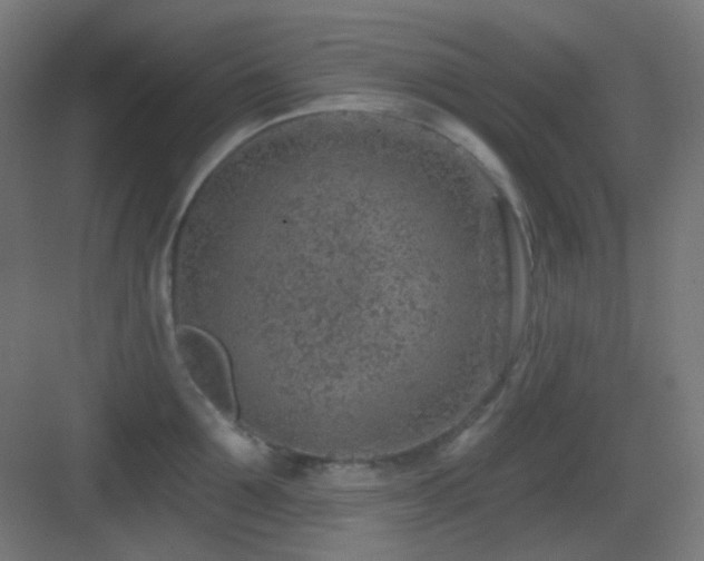 X0000083550907200702091055