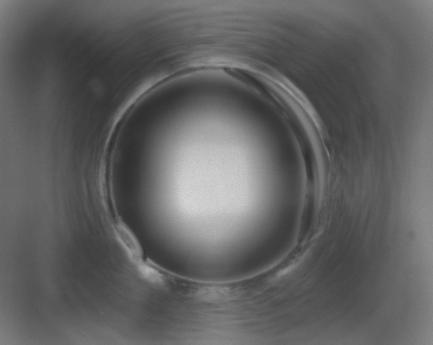 X0000083550909200702091055