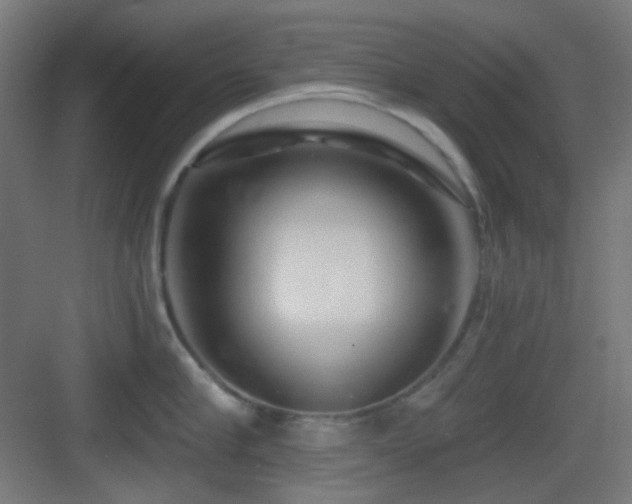 X0000083550910200702091055