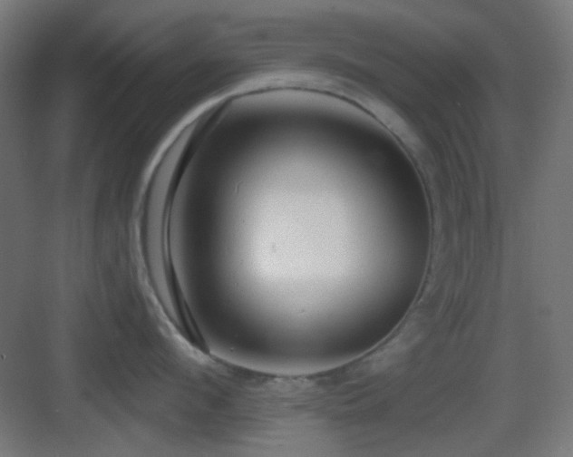 X0000083550912200702091055