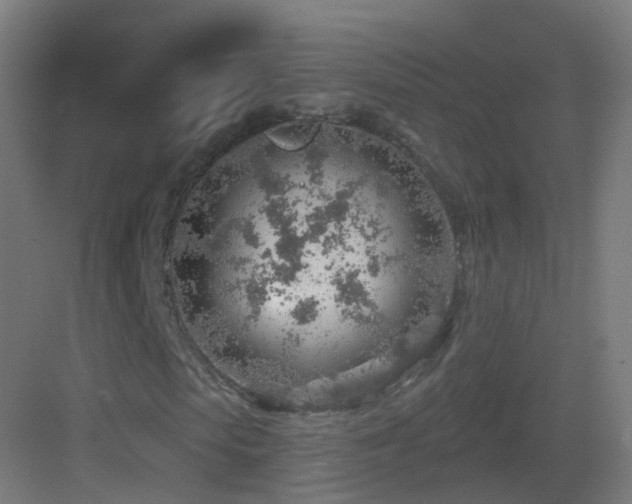 X0000083550913200702091054
