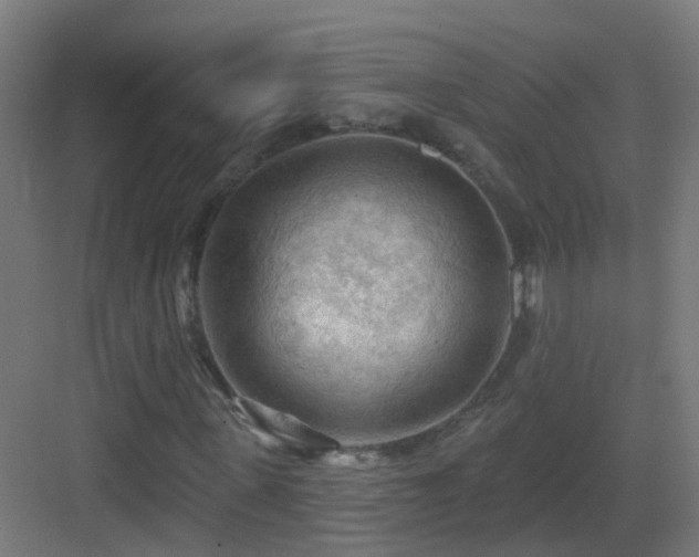 X0000083550915200702091054