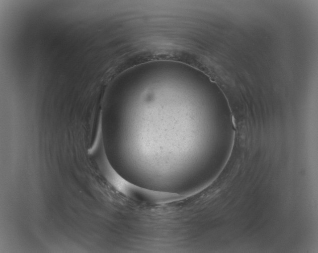 X0000083550916200702091054