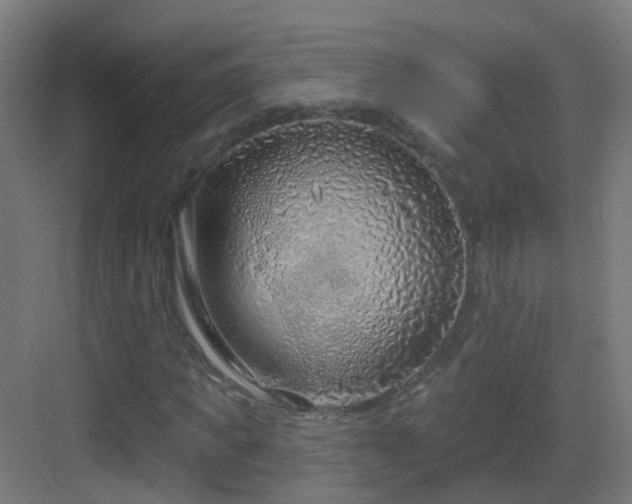 X0000083550917200702091054