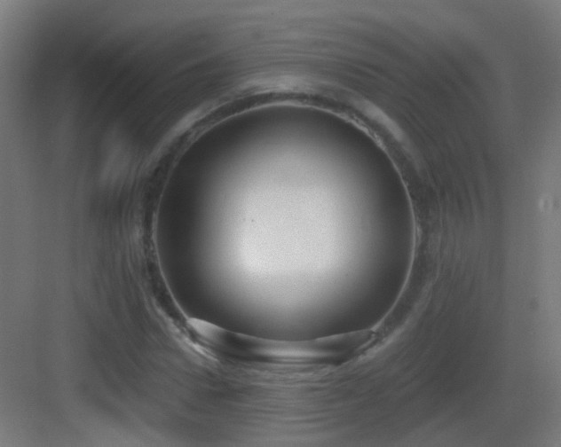X0000083550922200702091054