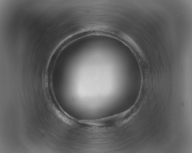 X0000083550924200702091054