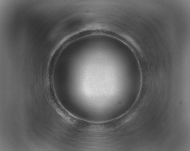 X0000083550927200702091054