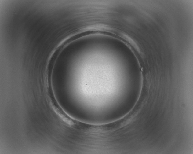 X0000083550931200702091055