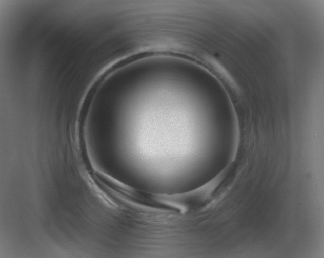 X0000083550932200702091055