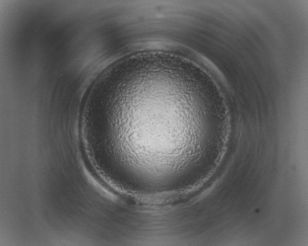 X0000083550938200702091055