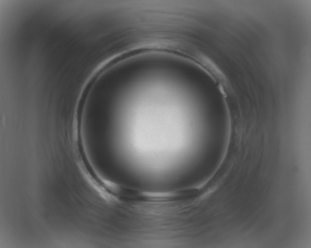 X0000083550940200702091055