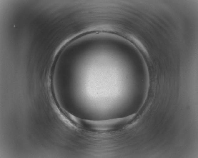 X0000083550944200702091055