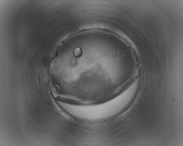 X0000083550945200702091055