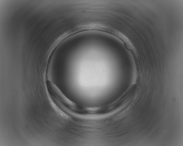 X0000083550946200702091055