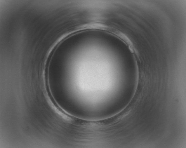 X0000083550947200702091055
