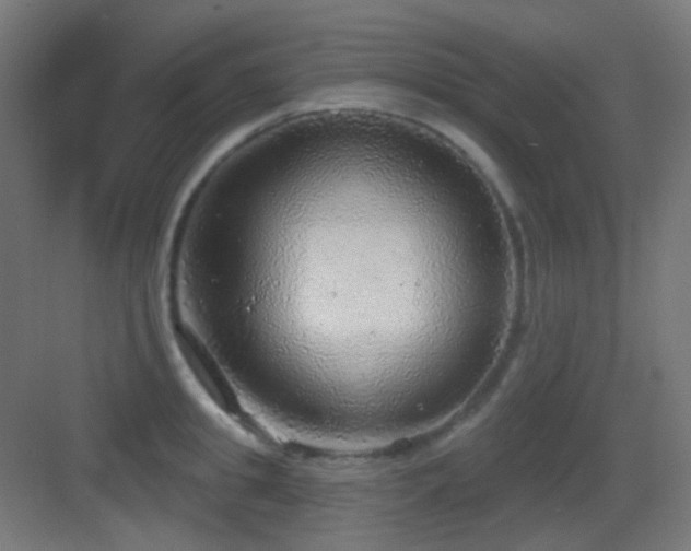 X0000083550949200702091055