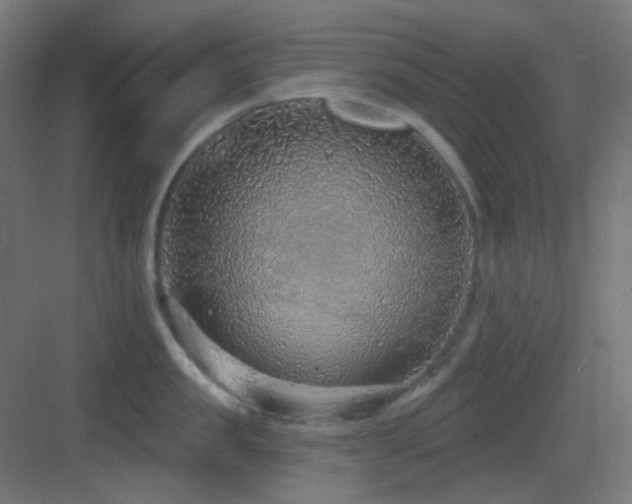 X0000083550957200702091055