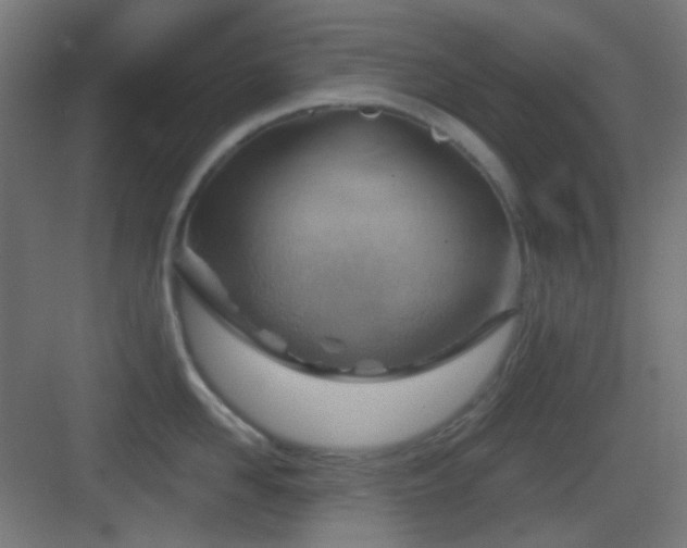 X0000083550958200702091055