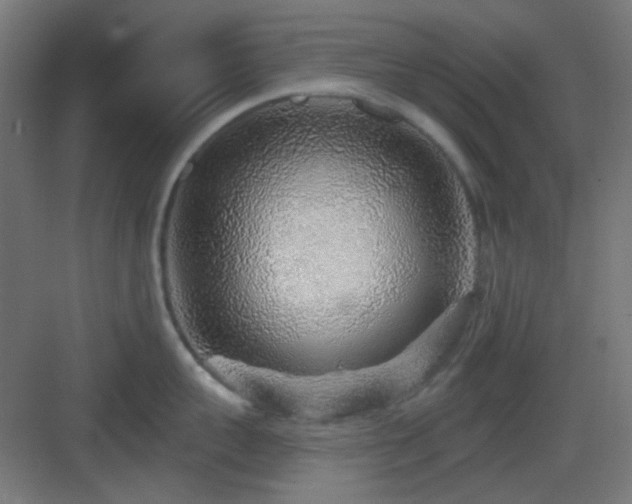 X0000083550959200702091055
