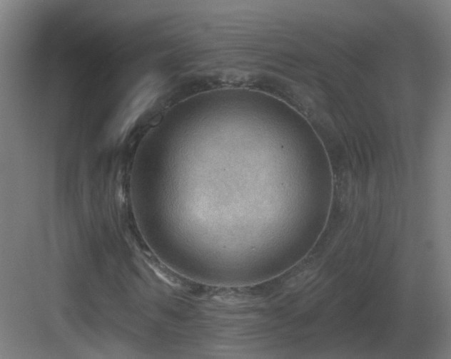 X0000083550962200702091054