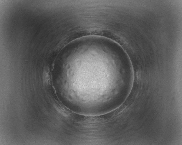 X0000083550963200702091054
