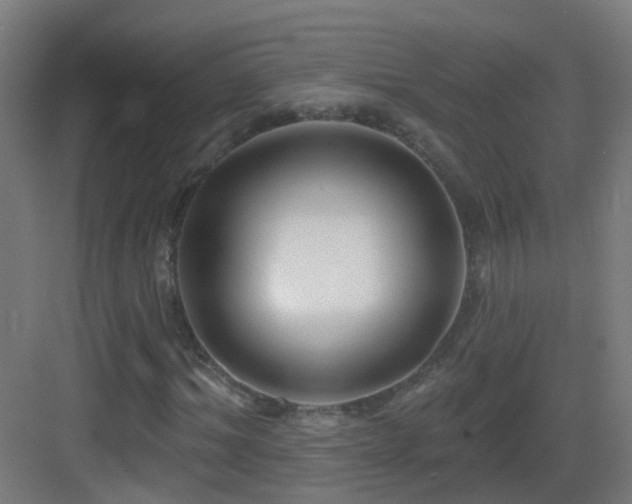 X0000083550964200702091054