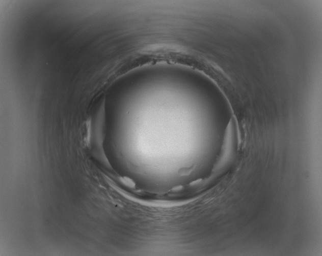 X0000083550965200702091054
