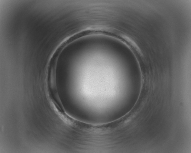 X0000083550976200702091054