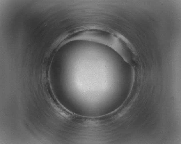 X0000083550977200702091054