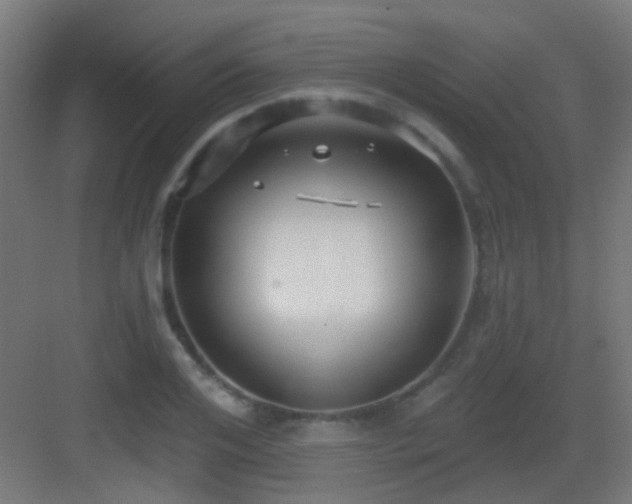 X0000083550984200702091054