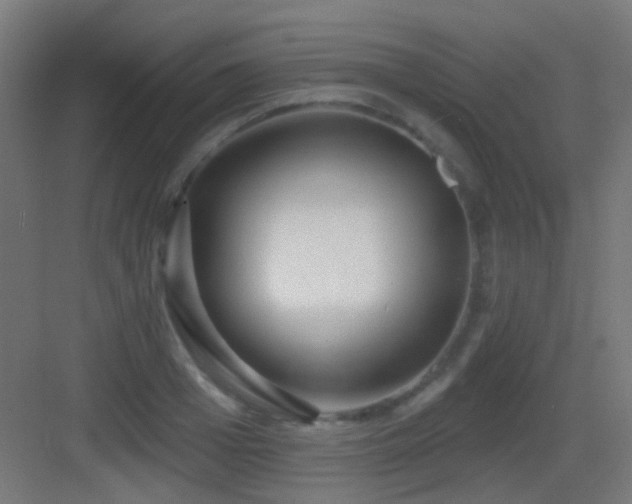 X0000083550985200702091054