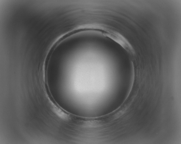 X0000083550988200702091054