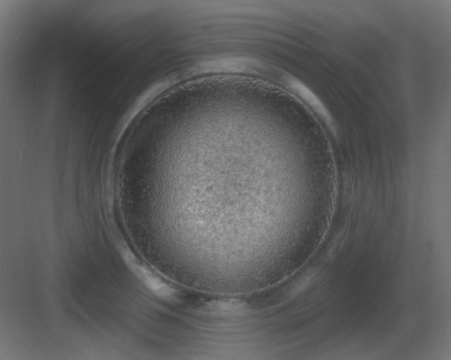 X0000083550994200702091054