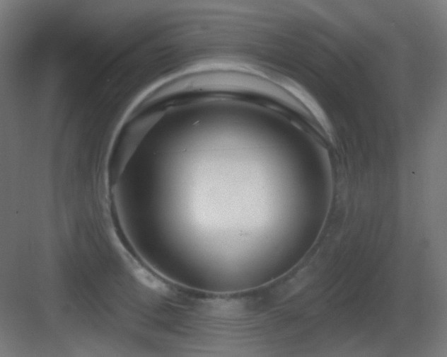 X0000083550996200702091054