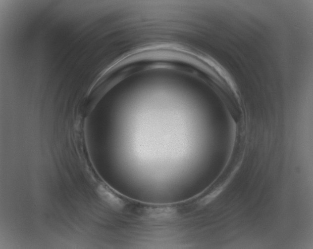 X0000083551001200702091054