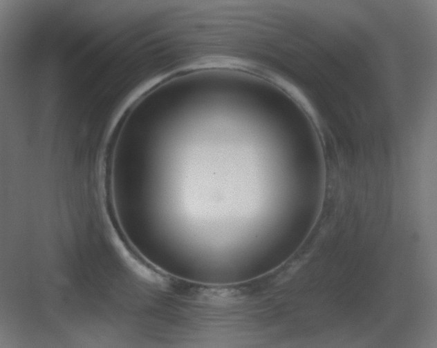 X0000083551003200702091053