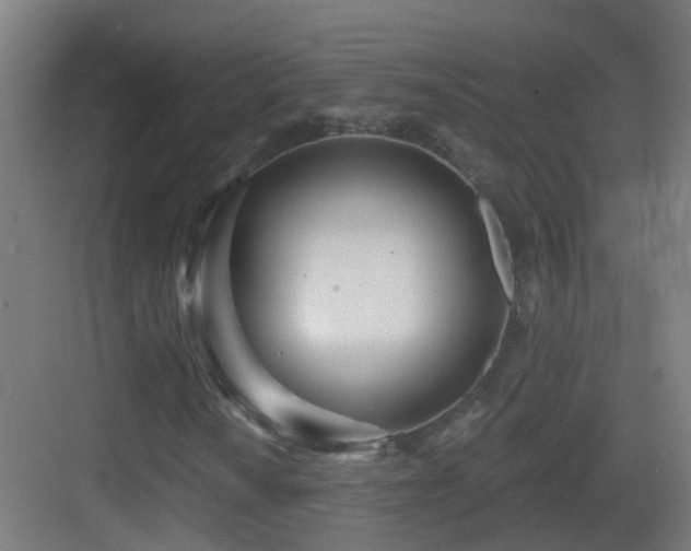X0000083551010200702091053