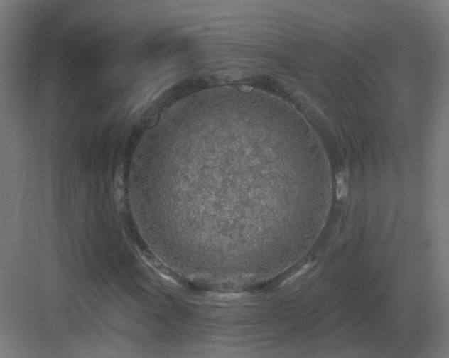 X0000083551011200702091053