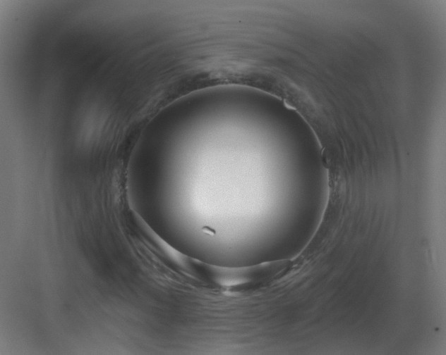 X0000083551012200702091053